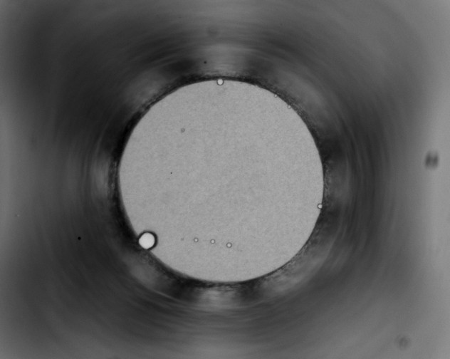 X0000103900168200810311418