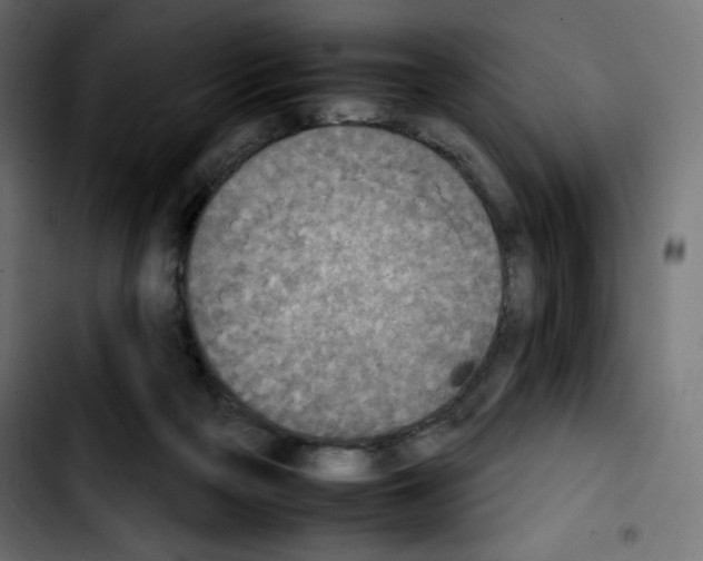 X0000103900169200810311418