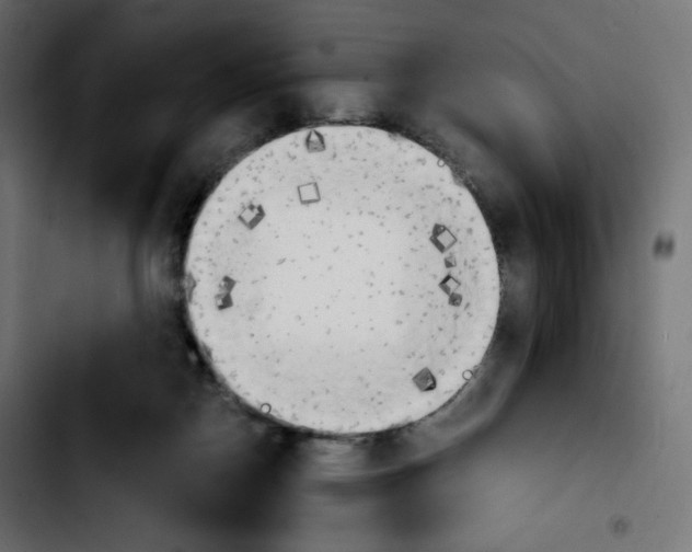 X0000103900170200810311418