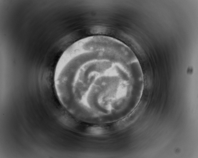 X0000103900171200810311418