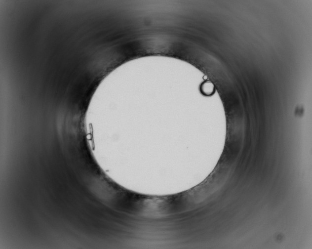 X0000103900172200810311418