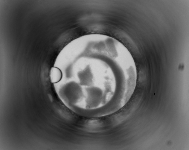 X0000103900173200810311418