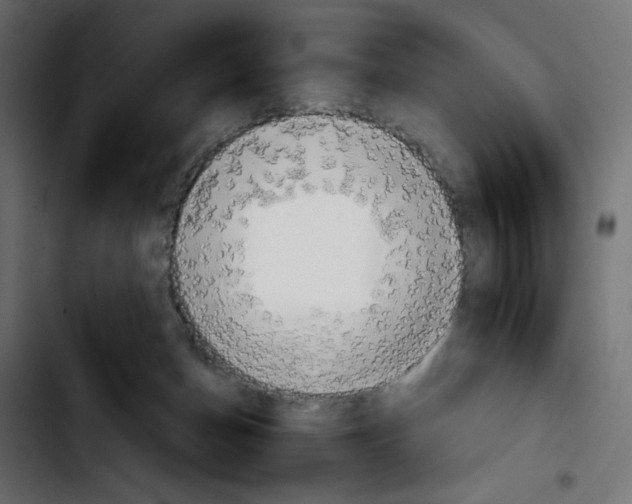 X0000103900174200810311418