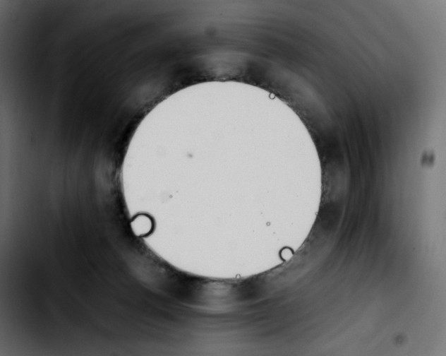 X0000103900176200810311418