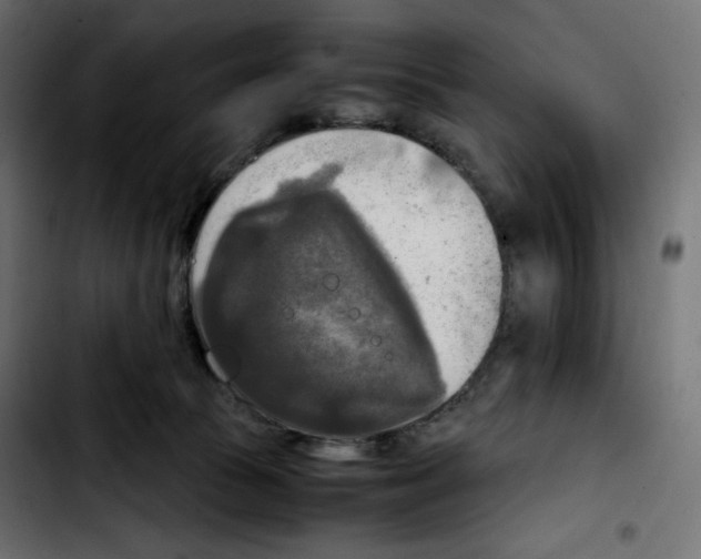 X0000103900177200810311418