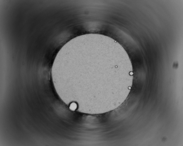 X0000103900180200810311418