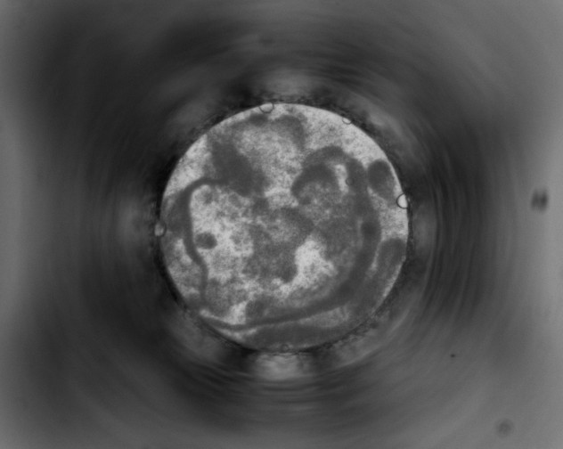 X0000103900181200810311418