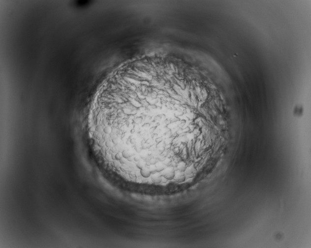 X0000103900183200810311418