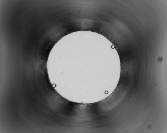 X0000103900184200810311418