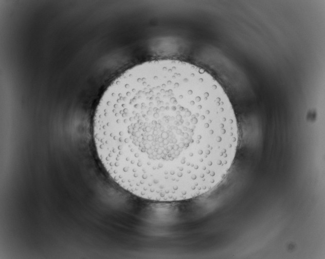 X0000103900187200810311418