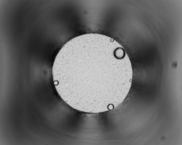 X0000103900188200810311418