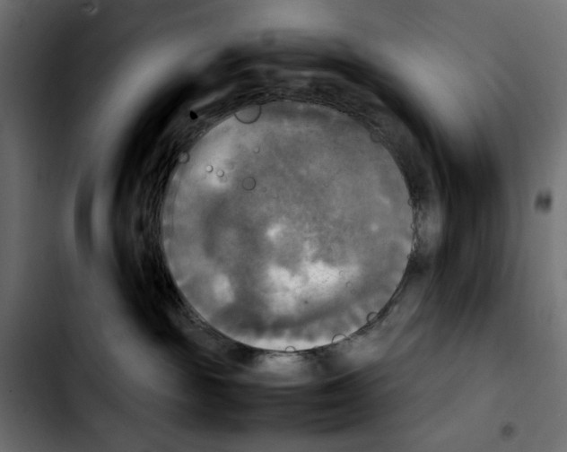 X0000103900189200810311418