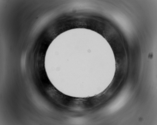 X0000103900190200810311418