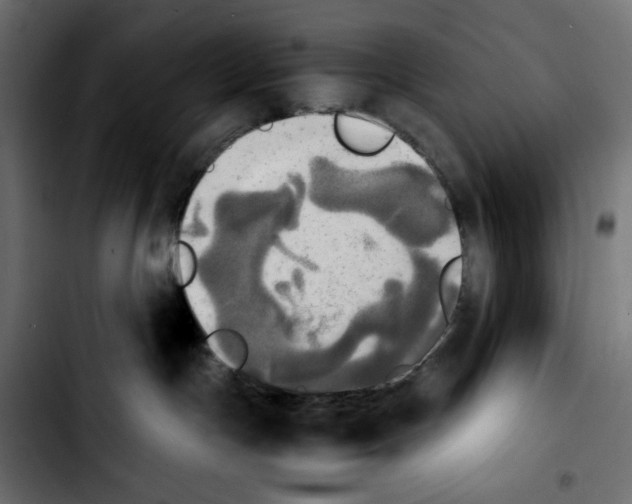 X0000103900191200810311418