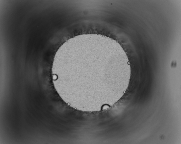 X0000103900192200810311418