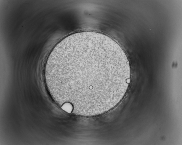 X0000103900193200810311417