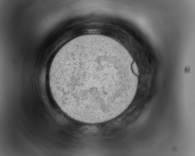 X0000103900194200810311417