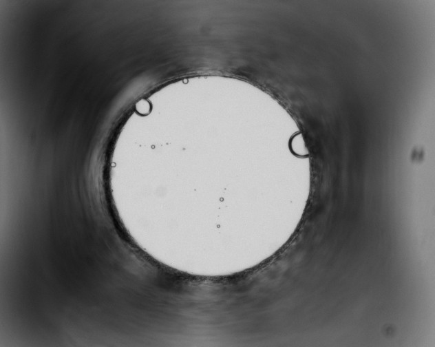 X0000103900197200810311417