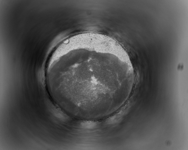 X0000103900198200810311417