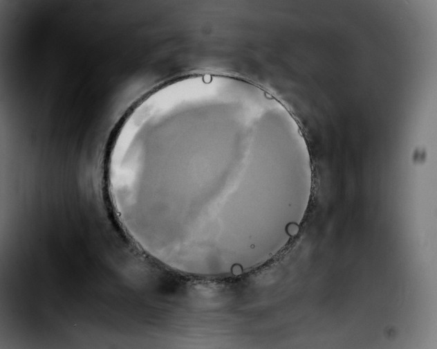 X0000103900199200810311417