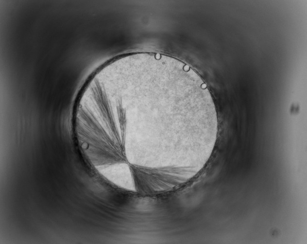 X0000103900200200810311417