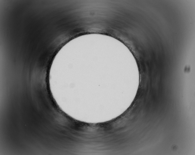 X0000103900201200810311417