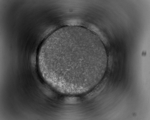 X0000103900202200810311417