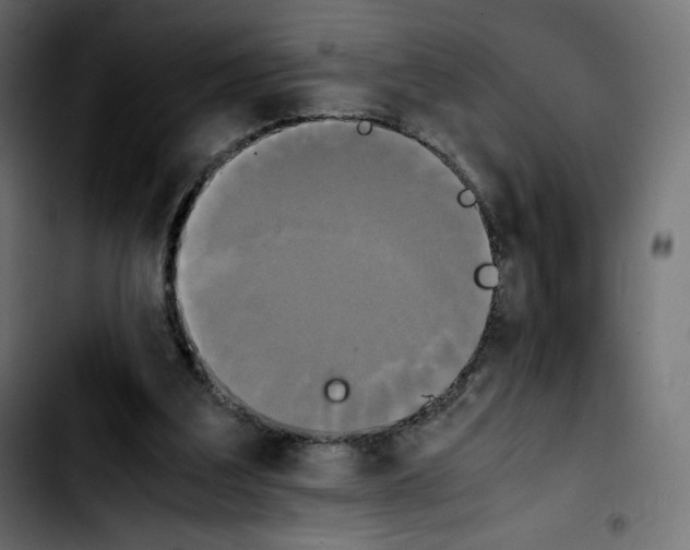 X0000103900203200810311417