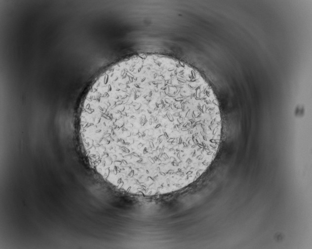 X0000103900207200810311417