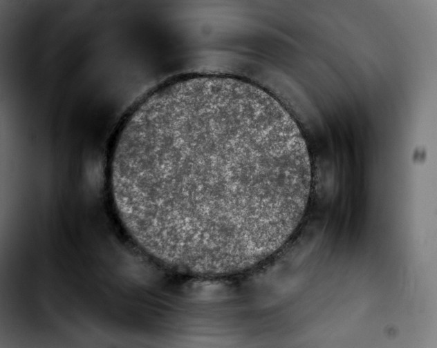 X0000103900208200810311417