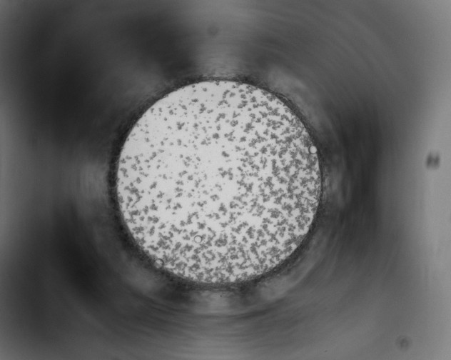 X0000103900209200810311417