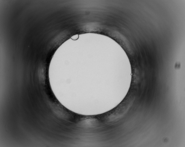 X0000103900210200810311417