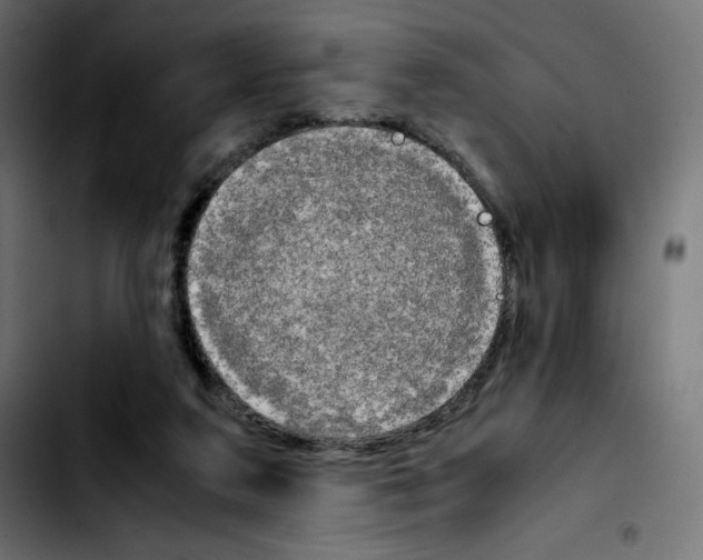 X0000103900211200810311417