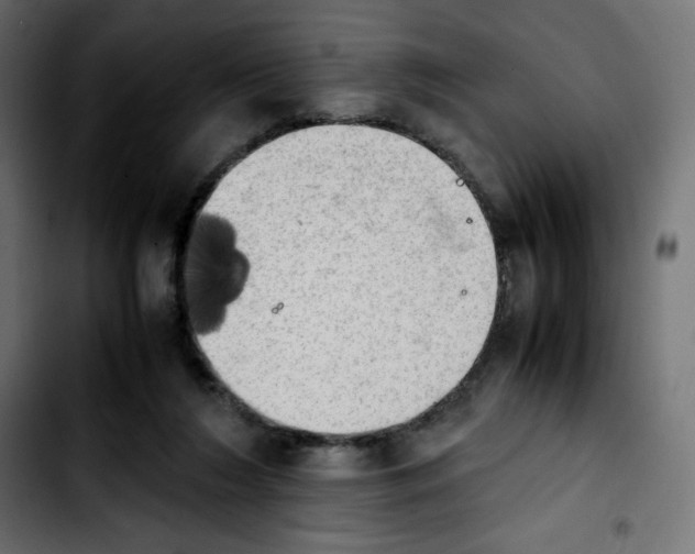 X0000103900212200810311417