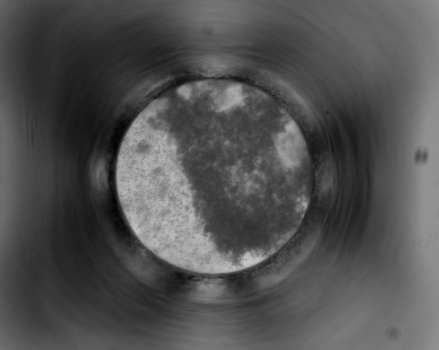 X0000103900214200810311417