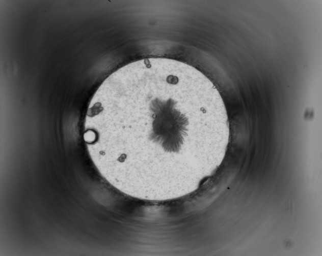 X0000103900216200810311417