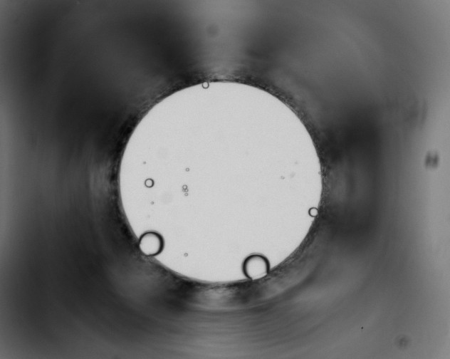 X0000103900217200810311417