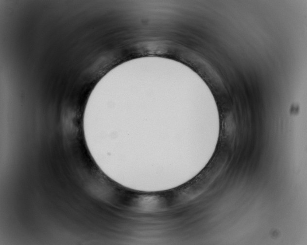 X0000103900218200810311417