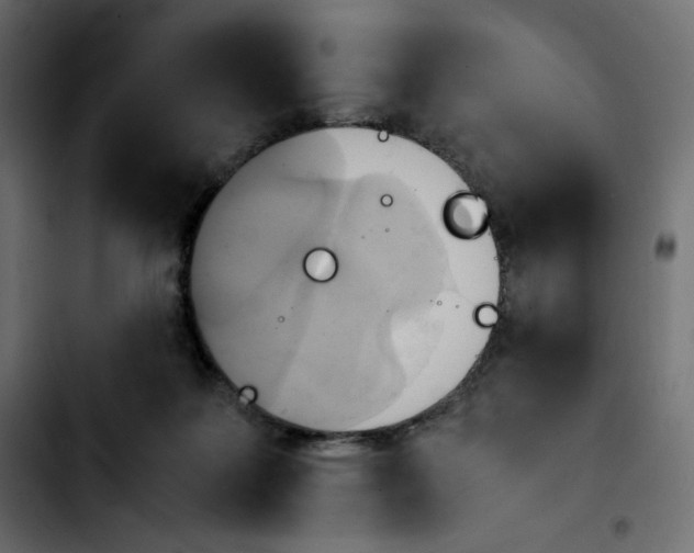 X0000103900219200810311417