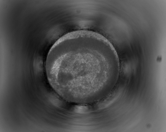 X0000103900220200810311417