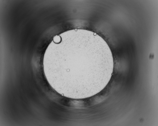 X0000103900221200810311417