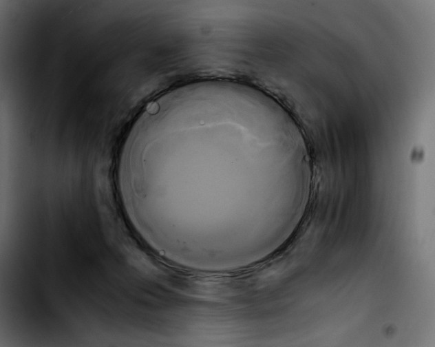 X0000103900223200810311417