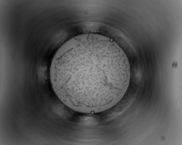 X0000103900224200810311417