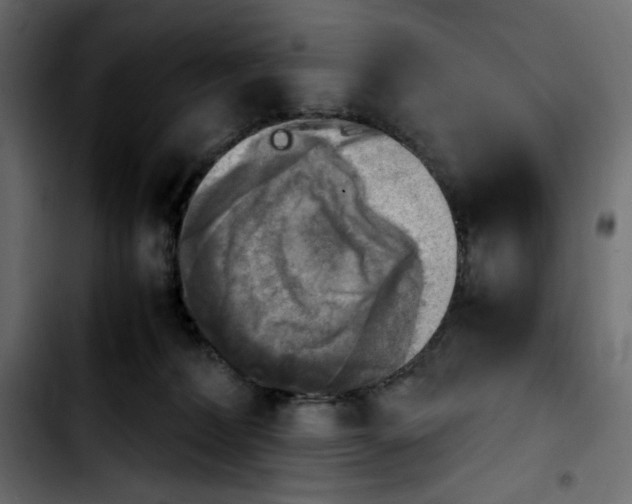 X0000103900228200810311417