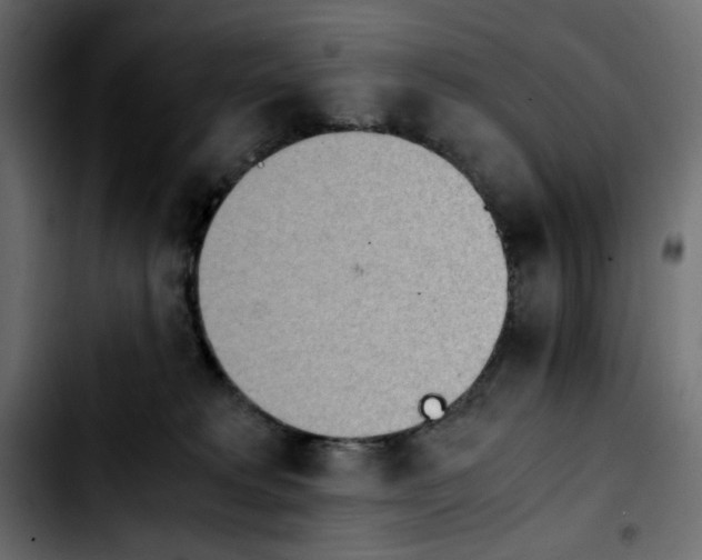 X0000103900229200810311417