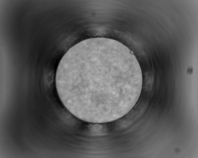 X0000103900230200810311417