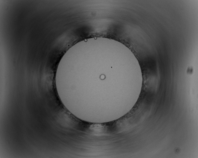 X0000103900231200810311417