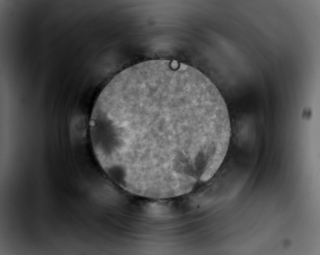 X0000103900232200810311417