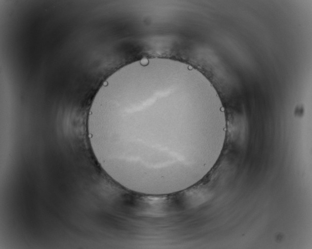 X0000103900233200810311417