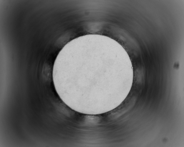 X0000103900234200810311417